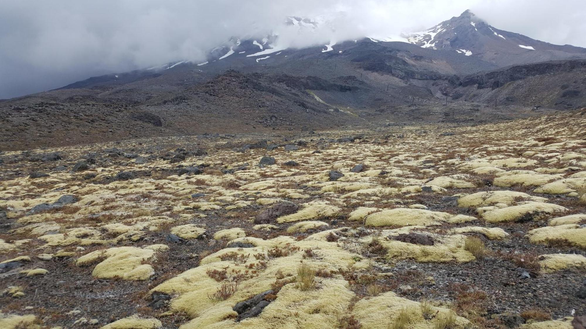 Ruapehu Mountain & Ohakune