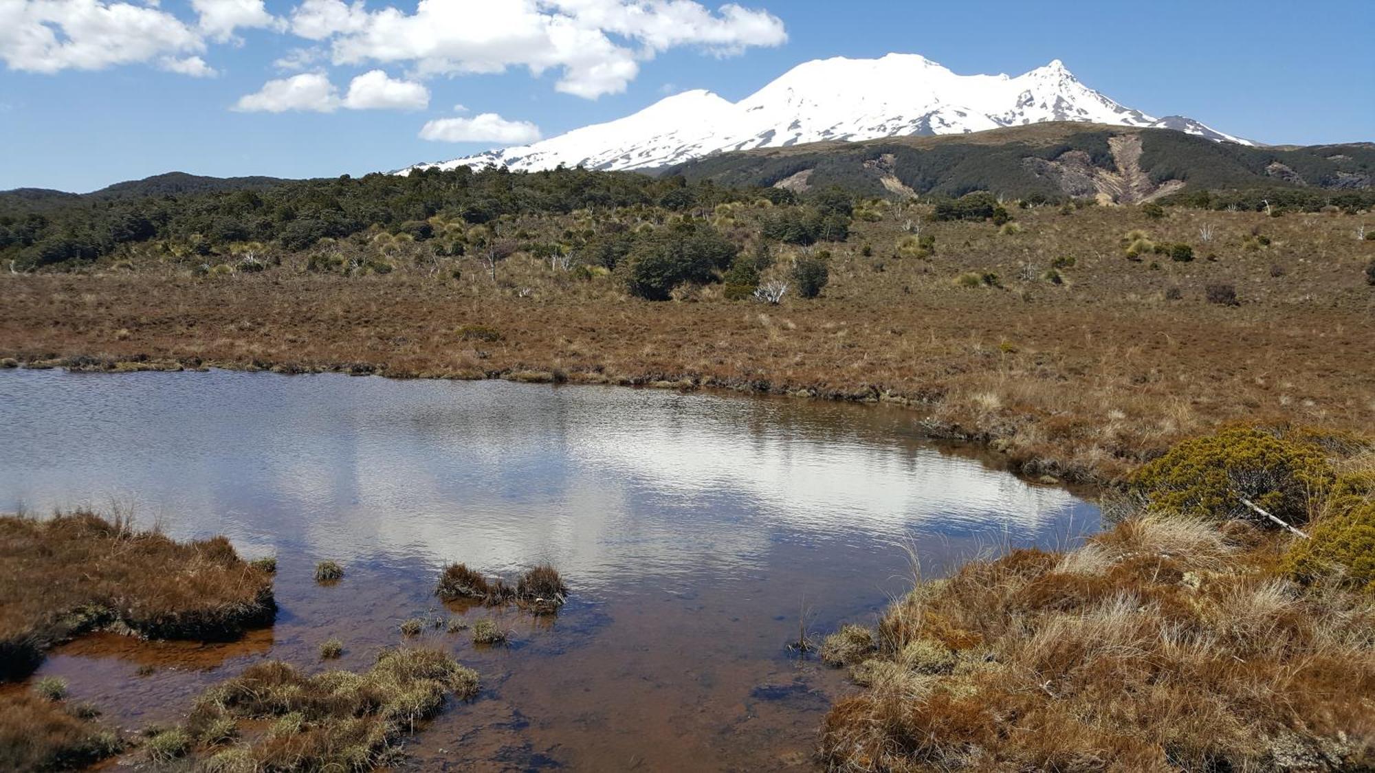 Ruapehu Mountain & Motel