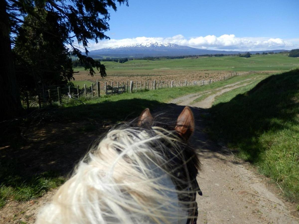Ruapehu Mountain & Motel Ohakune