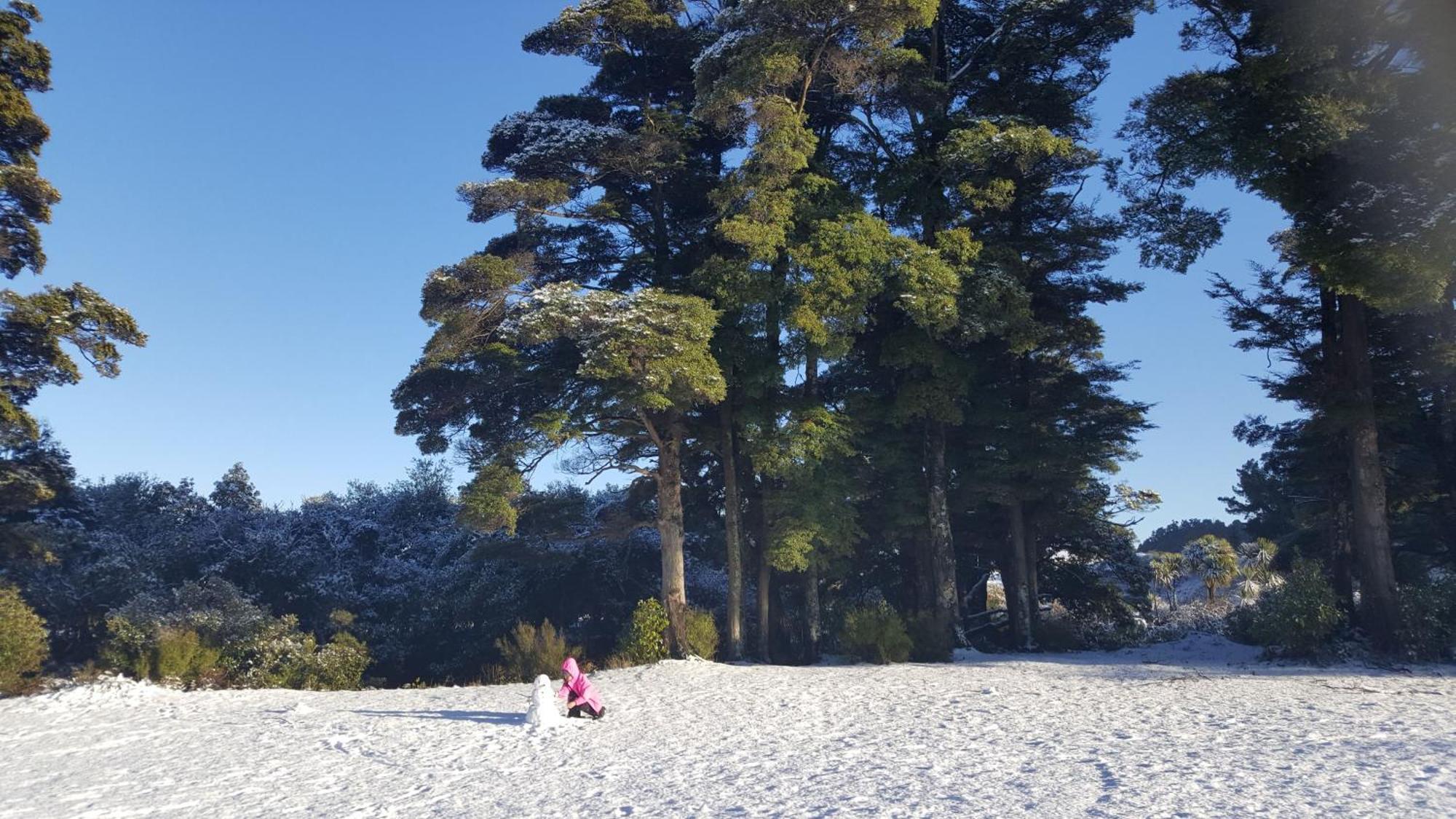 Ruapehu Mountain & 3*