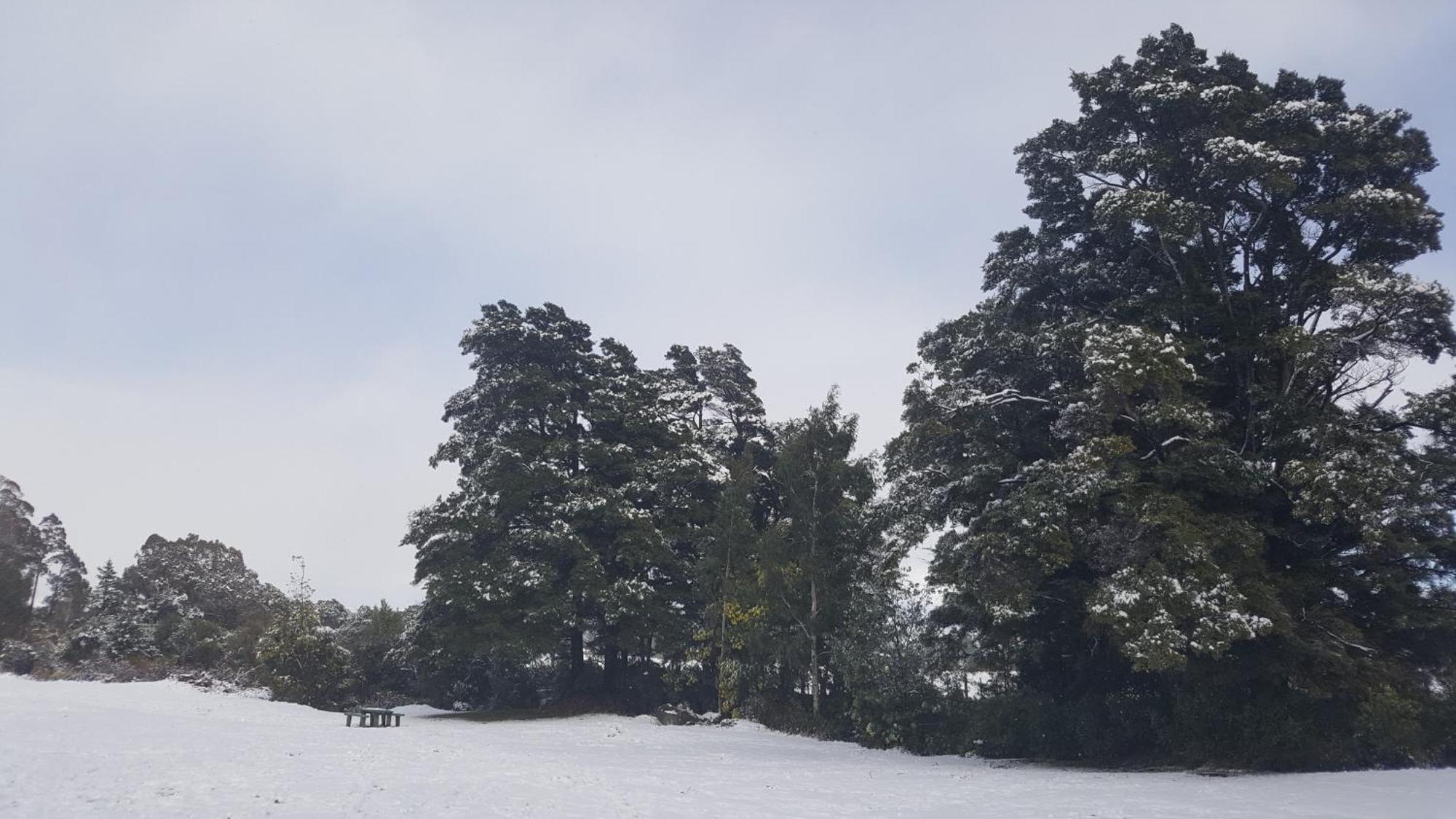 Ruapehu Mountain & Motel 3*