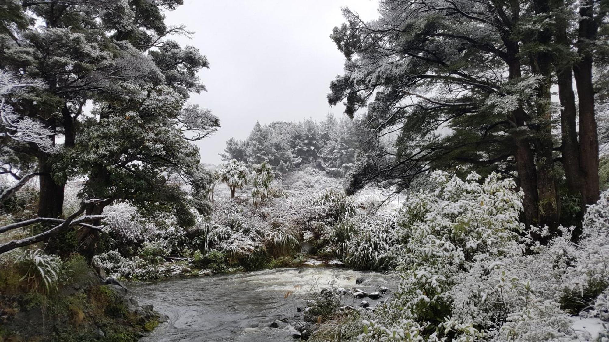 Ruapehu Mountain &
